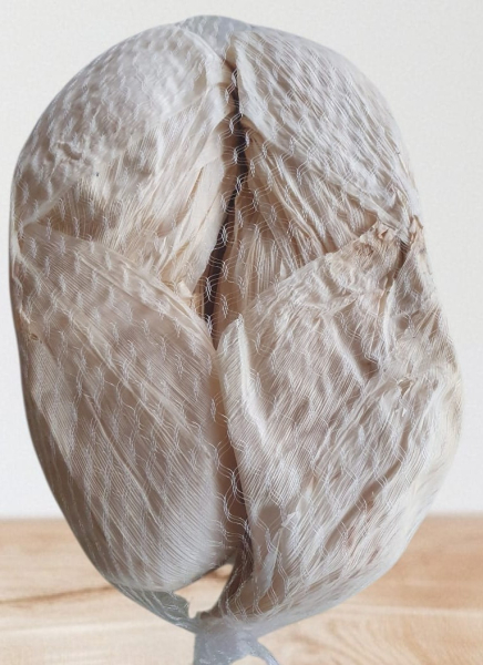 Hojas de Maiz para Tamales - Trockene Maizblätter